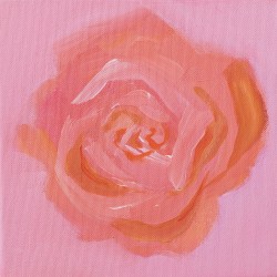 31-Rose-peach-pink