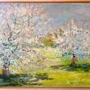 Kirschblüte 