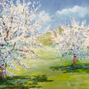 Fränkische-Kirschblüte