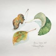 Autumn leaves 2