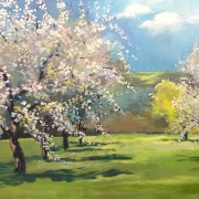 Fränkische Kirschblüte