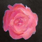HirtenTor Rose