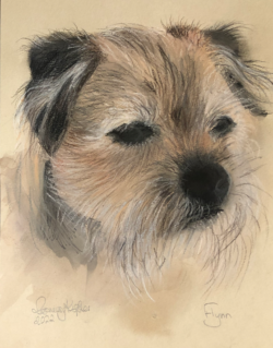 Dog Portrait