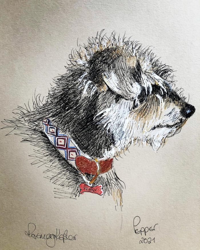 Pepper Dog portrait